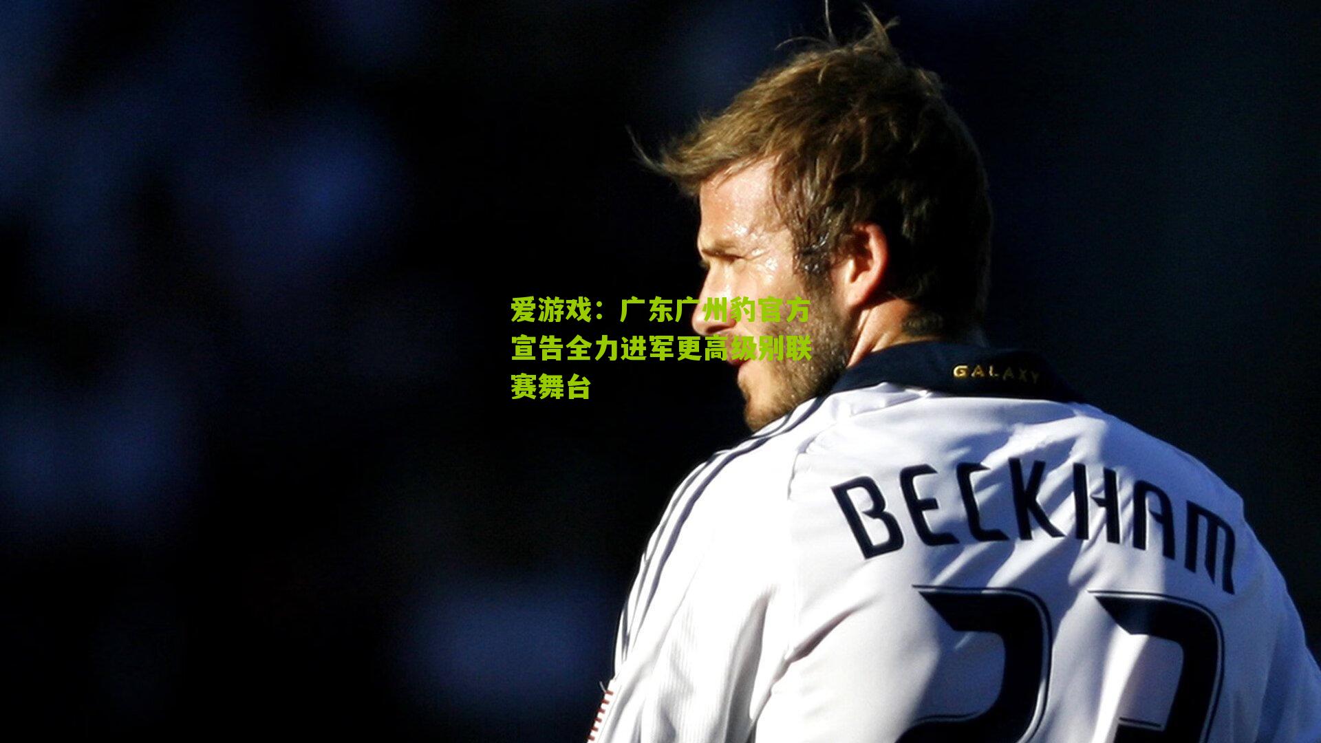 广东广州豹官方宣告全力进军更高级别联赛舞台